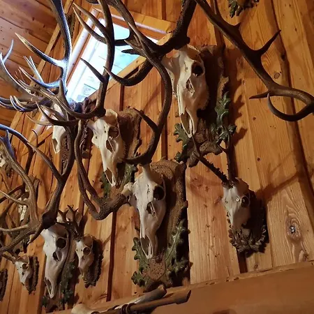 אכסניה Dzika Nowy Barkoczyn