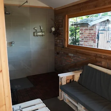 Dzika * Nowy Barkoczyn