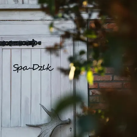 Dzika אכסניה Nowy Barkoczyn