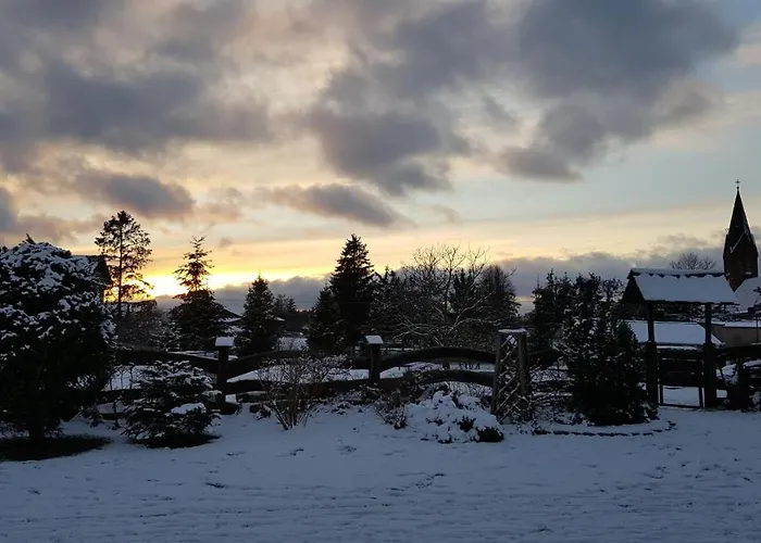 Dzika Domek letniskowy *