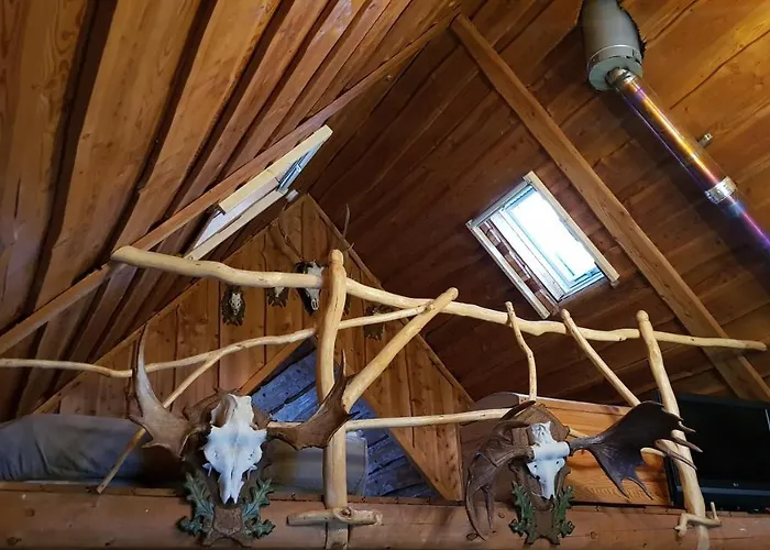 Dzika Nowy Barkoczyn