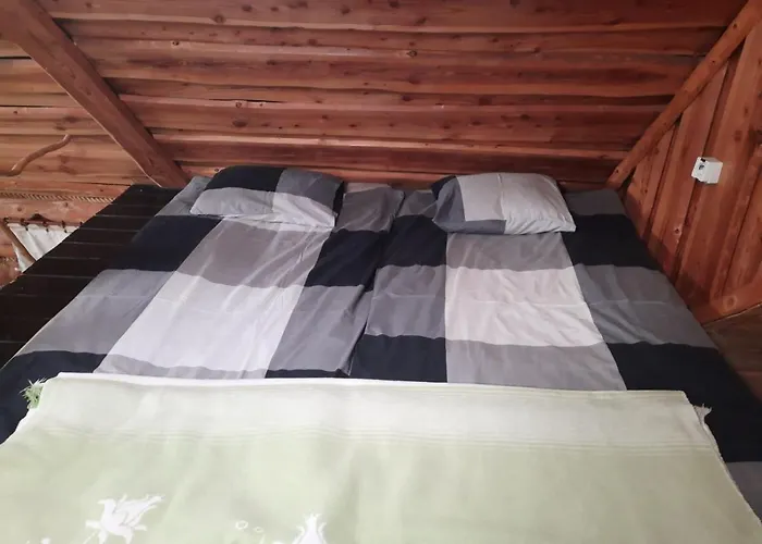 Dzika Domek letniskowy Nowy Barkoczyn