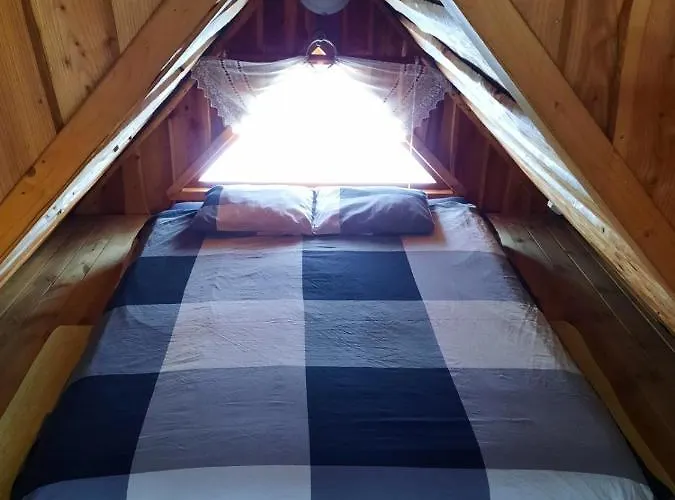 Dzika Nowy Barkoczyn