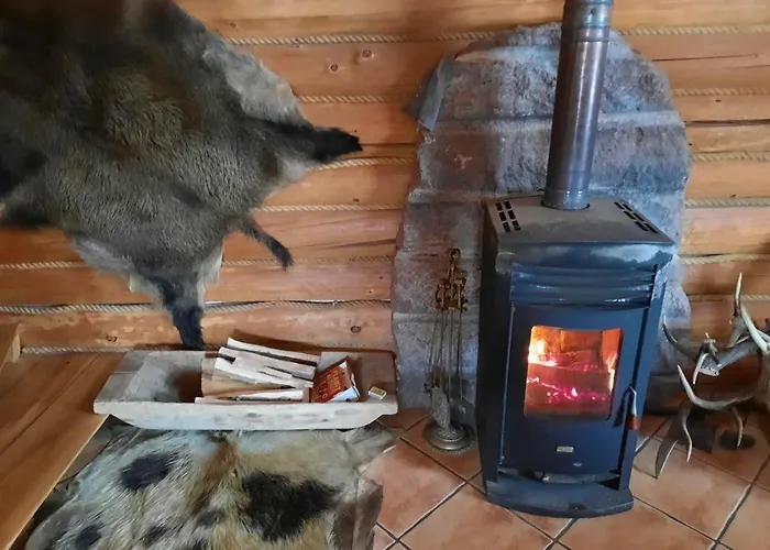 Dzika Domek letniskowy