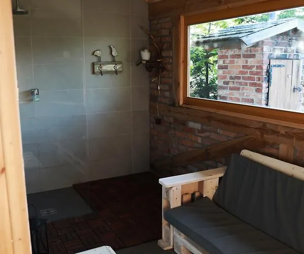 Dzika * Nowy Barkoczyn