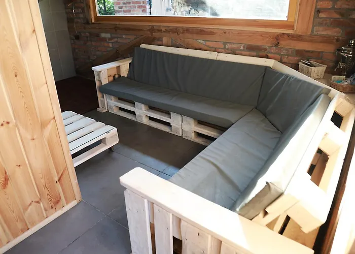 Dzika Nowy Barkoczyn